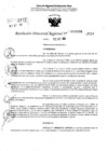 Vista preliminar de documento RDR 10500-2024