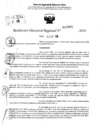 Vista preliminar de documento RDR 10501-2024