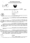 Vista preliminar de documento RDR 10503-2024