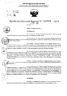 Vista preliminar de documento RDR 10504-2024