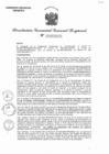 Vista preliminar de documento RGGR 015