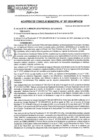 Vista preliminar de documento ACM24N307