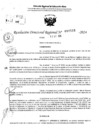 Vista preliminar de documento RDR 10510-2024