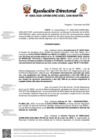 Vista preliminar de documento Resolución Directoral N° 0063-2025GRSM-DRE-UGEL-SAN-MARTIN