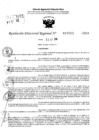 Vista preliminar de documento RDR 10513-2024