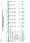 Vista preliminar de documento CMN BIENES -  SERVICIOS Y OBRAS DE UGEL  2024 UE 308