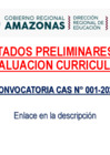Vista preliminar de documento RESULTADOS PRELIMINARES EVALUACION CURRICULAR