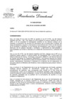Vista preliminar de documento Resoluciones Directorales