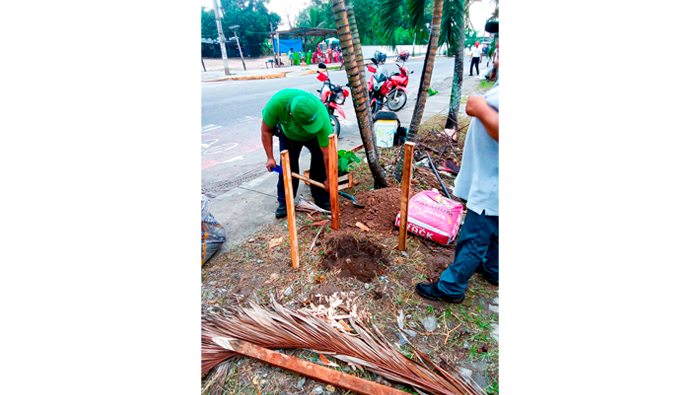 Jornada de recuperaci贸n de 谩reas y arborizaci贸n en zonas libres.