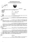 Vista preliminar de documento RDR 10514-2024