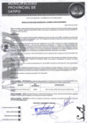 Vista preliminar de documento RESOLUCION SUB GERENCIAL N° 00007-2025-SGRH-MPS