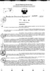 Vista preliminar de documento RDR 10515-2024