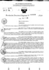 Vista preliminar de documento RDR 10518-2024