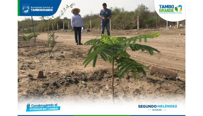 MDT impulsa el cuidado del medio ambiente y recupera espacios públicos