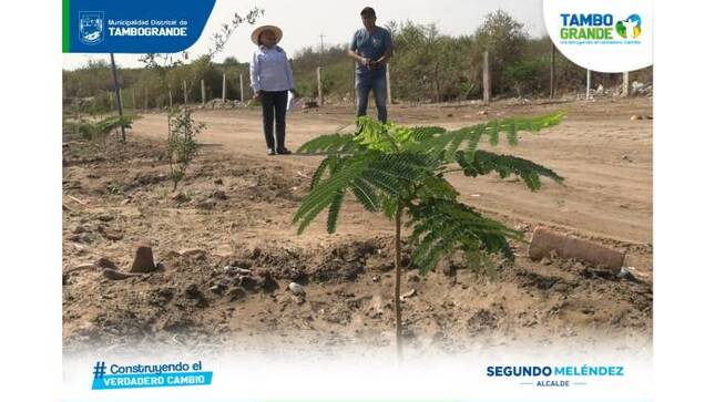 MDT impulsa el cuidado del medio ambiente y recupera espacios públicos 