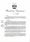 Vista preliminar de documento rd_001_2025