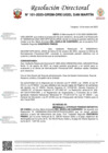 Vista preliminar de documento Resolución Directoral N° 0101-2025-GRSM-DRE-UGEL-SAN-MARTIN