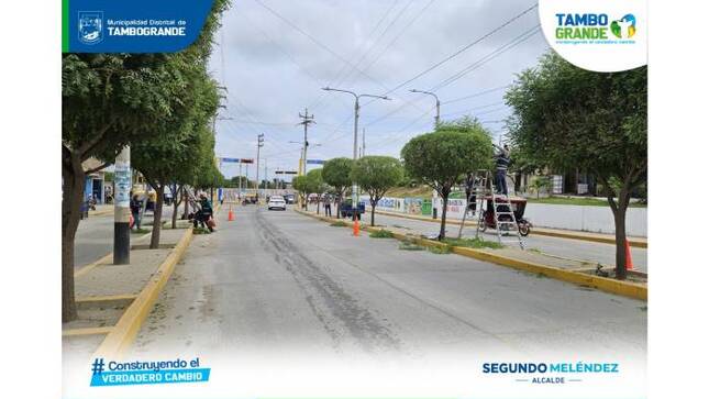 MDT impulsa el cuidado de áreas verdes y la limpieza urbana