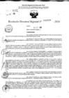 Vista preliminar de documento RDR 10519-2024