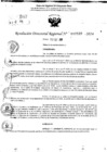 Vista preliminar de documento RDR 10520-2024