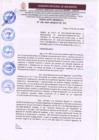 Vista preliminar de documento Resolucion Gerencial N° 049-2024