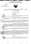 Vista preliminar de documento RDR 10521-2024