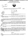Vista preliminar de documento RDR 10522-2024