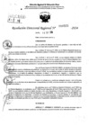 Vista preliminar de documento RDR 10523-2024