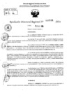 Vista preliminar de documento RDR 10524-2024