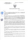 Vista preliminar de documento RD-0288-2025-DSAIA-DIRIS-LE-MINSA
