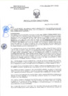 Vista preliminar de documento RD-0293-2025-DSAIA-DIRIS-LE-MINSA