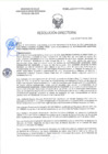 Vista preliminar de documento RD-0295-2025-DSAIA-DIRIS-LE-MINSA