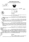Vista preliminar de documento RDR 10527-2024