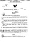 Vista preliminar de documento RDR 10528-2024