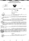 Vista preliminar de documento RDR 10529-2024