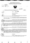 Vista preliminar de documento RDR 10530-2024