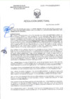 Vista preliminar de documento RD-0300-2025-DSAIA-DIRIS-LE-MINSA