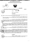 Vista preliminar de documento RDR 10531-2024