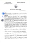 Vista preliminar de documento RD-0305-2025-DSAIA-DIRIS-LE-MINSA