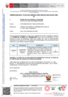 Vista preliminar de documento Penalidad diciembre 2024 -II