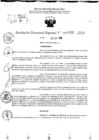 Vista preliminar de documento RDR 10532-2024