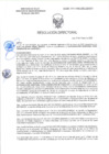 Vista preliminar de documento RD-0308-2025-DSAIA-DIRIS-LE-MINSA