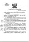 Vista preliminar de documento RD N°016