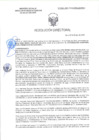 Vista preliminar de documento RD-0309-2025-DSAIA-DIRIS-LE-MINSA