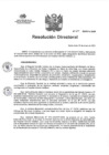 Vista preliminar de documento RD N°017
