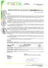 Vista preliminar de documento RA N°004-2025-MPP-A