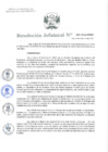 Vista preliminar de documento Resolución Jefatural Nº 299-2024-INEI