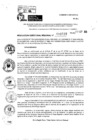Vista preliminar de documento RDR 10537-2024
