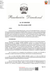 Vista preliminar de documento rd_1321_2024 vf