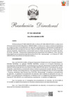 Vista preliminar de documento rd_1322_2024 vf